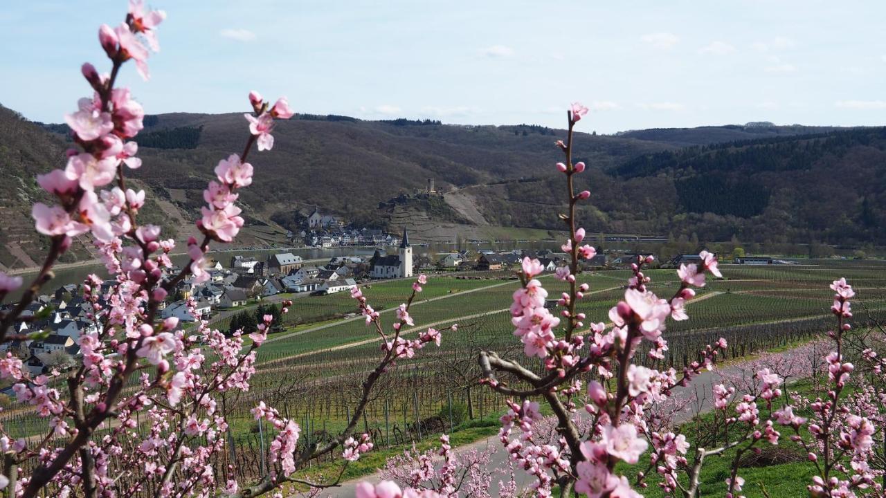 Gaestehaus Preuss Ellenz-Poltersdorf Exterior photo